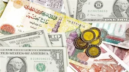 سعر الدولار والعملات الأجنبية والعربية في مصر اليوم السبت 4 يونيو 2022