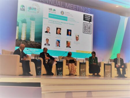 تفاصيل جلسة وزير المالية خلال اجتماعات البنك الإسلامى للتنمية بشرم الشيخ