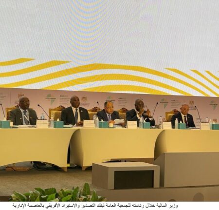 وزير المالية : تحقيق الأمن الغذائي الأفريقي أصبح «أولوية قارية» ملحة