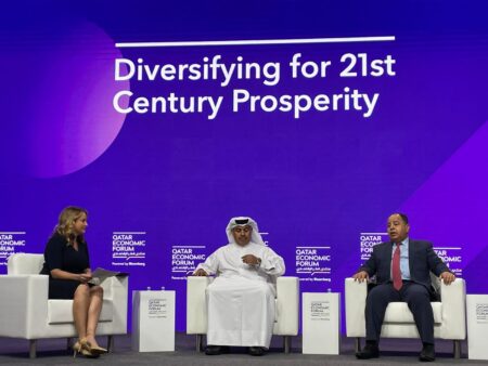 وزير المالية : نتطلع لزيادة الاستثمارات الخليجية فى مصر