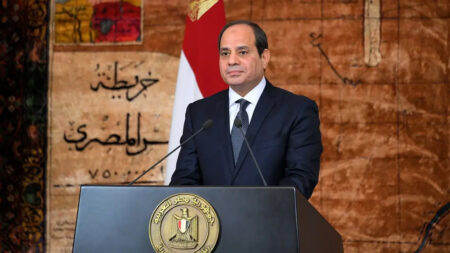 الرئيس السيسي يشدد على أهمية إنهاء وجود الجماعات المتطرفة داخل ليبيا