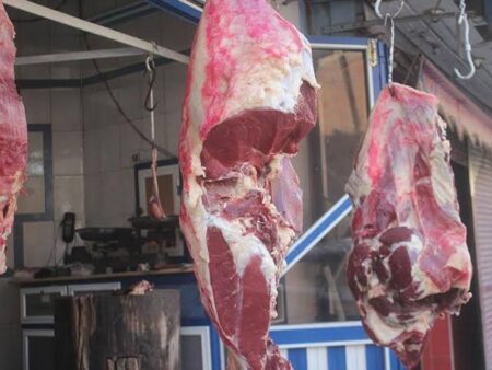 الأعلاف السبب..شعبة الدواجن تكشف عن ارتفاع جديد في أسعار اللحوم