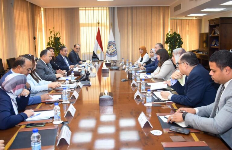 تطبيق إلكتروني بالهواتف الذكية لتقديم الخدمات للمصريين بالخارج