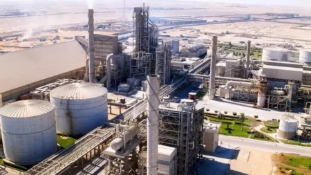 "فليكس" الهندية تعتزم استثمار 110 ملايين دولار في مصر