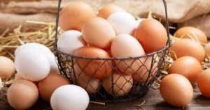 أسعار البيض اليوم السبت 13 ديسمبر 2025..تحديث يومي بأسعار كرتونة البيض الأبيض والأحمر بيض المائدة، بوابة النافذة