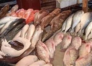 أسعار الأسماك اليوم الأحد 25 مايو في الأسواق المصرية