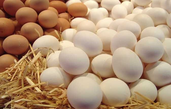 سعر كرتونة البيض اليوم السبت 2-12-2023 في الأسواق - النافذة- Al Nafezah