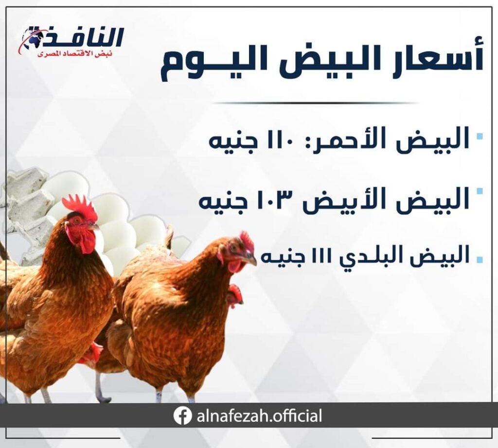 الأعلاف السبب ،أسعار البيض و الدواجن اليوم الجمعة 10 فبراير