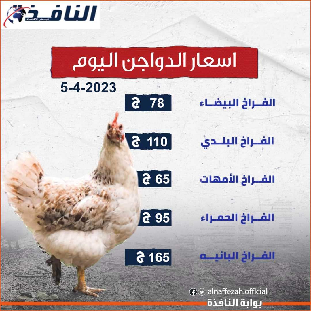 78 جنبها للكيلو.. تراجع جديد في أسعار الدواجن