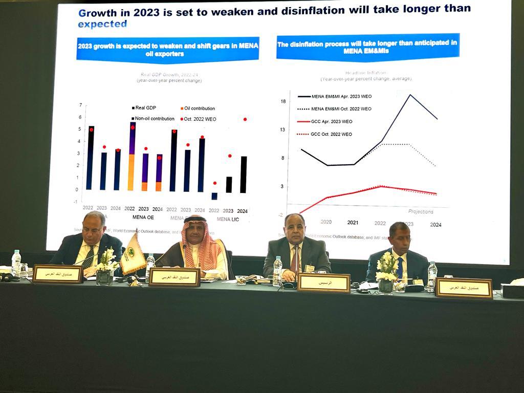 وزير المالية يستعرض التجربة المصرية فى تحقيق الأمن الغذائي بالمغرب