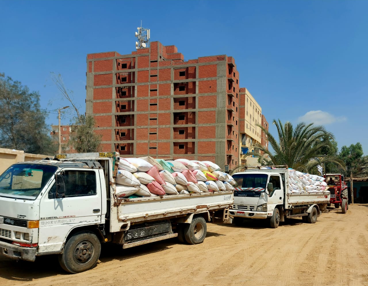 شون البنك الزراعي المصري تستقبل 277 ألف طن خلال الشهر الأول لموسم توريد القمح المحلي