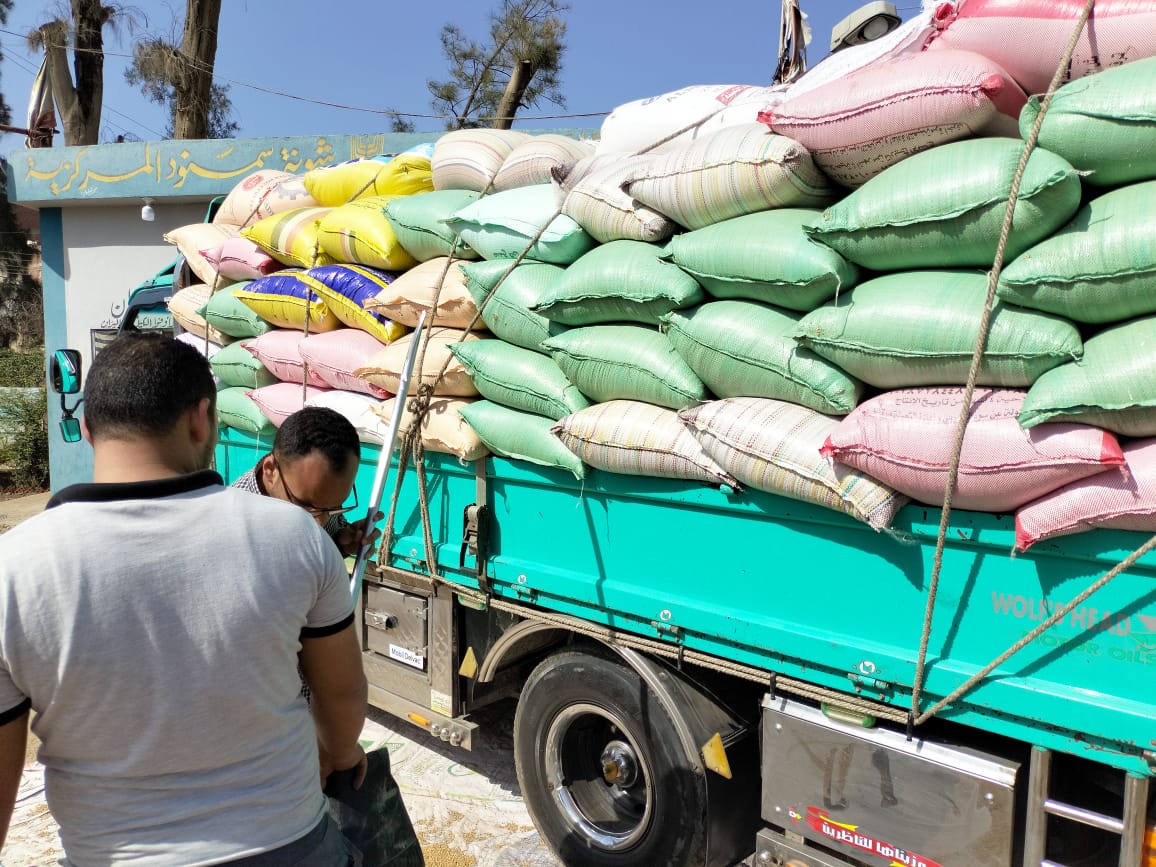 البنك الزراعي المصري يبدأ استلام محصول القمح من المزارعين والموردين في 190 موقع على مستوى الجمهورية