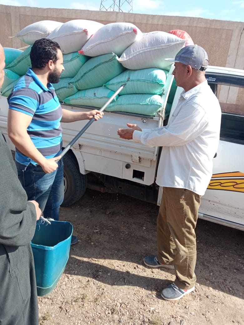 البنك الزراعي المصري يبدأ استلام محصول القمح من المزارعين والموردين في 190 موقع على مستوى الجمهورية