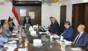 اجتماع وزير قطاع الأعمال