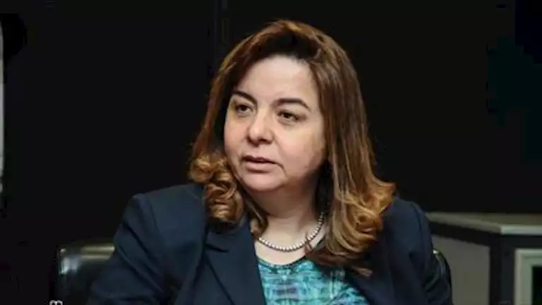 أول رد من رئيس صندوق الاسكان الاجتماعي بشأن تحقيق أرباح من مشروعات سكن لكل المصريين (فيديو)
