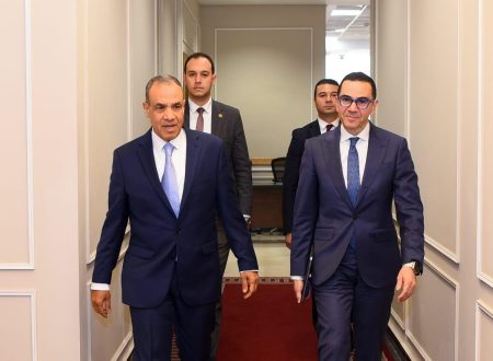 وزيرا الخارجية والاستثمار يبحثان تعزيز التعاون الاقتصادي