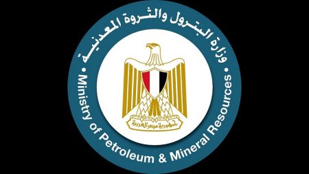 قطاع البترول، اكتشاف جديد بالصحراء الغربية ينتج 2500 برميل يوميا