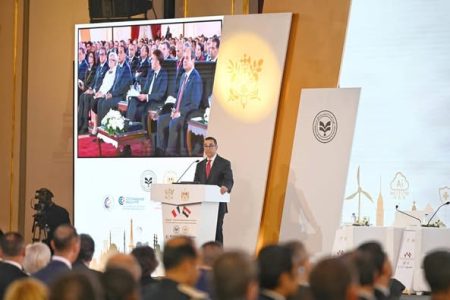 وزير الاستثمار يكشف حجم اجمالي الاستثمارات الفرنسية في مصر