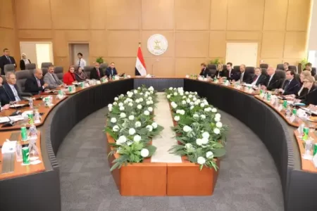 مصر والسويد تبحثان تعزيز التعاون في الطاقة المتجددة