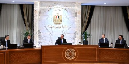 مصر تسعى لجذب استثمارات صينية من حصة إفريقيا