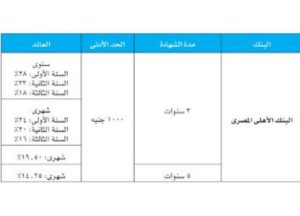 تخفيض الفائدة يعيد رسم خريطة شهادات الادخار في البنوك المصرية