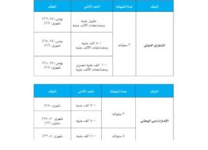 تخفيض الفائدة يعيد رسم خريطة شهادات الادخار في البنوك المصرية