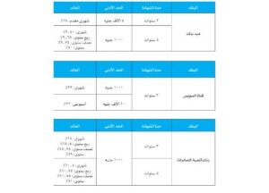 تخفيض الفائدة يعيد رسم خريطة شهادات الادخار في البنوك المصرية