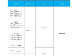 تخفيض الفائدة يعيد رسم خريطة شهادات الادخار في البنوك المصرية