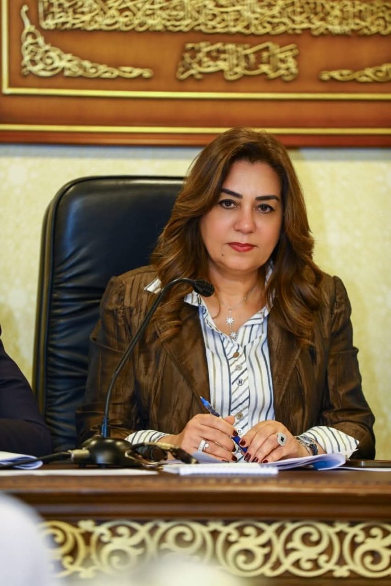 وزيرة التنمية المحلية تستعرض تقريرًا حول جهود قطاع التفتيش خلال شهر أبريل 2025