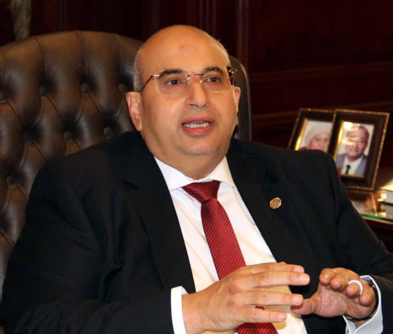 جمعية الخبراء: تنمية الثروة الحيوانية تبدأ من التيسيرات الضريبية لمصانع الأعلاف