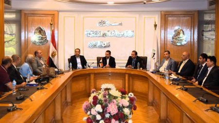 خطة غرفة القاهرة لتوسيع نطاق خدماتها المميكنة
