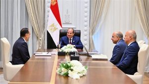 السيسي يبحث موقف محطة الضبعة وكفاءة محطات الكهرباء
