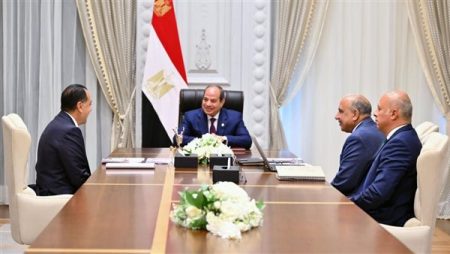 السيسي يبحث موقف محطة الضبعة وكفاءة محطات الكهرباء