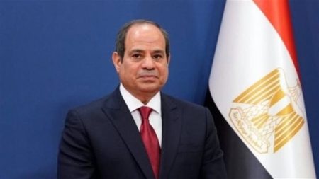 الرئيس السيسي