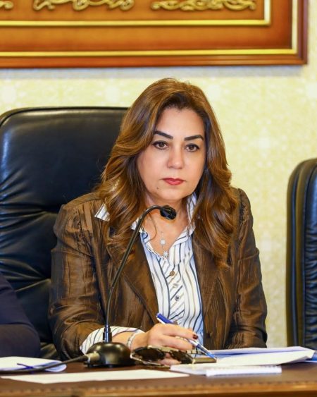 وزيرة التنمية المحلية تستعرض جهود قطاع التفتيش والرقابة لمتابعة الأداء بالمحافظات خلال مايو 2025