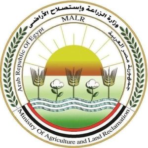 أضحية عيد الأضحى 2025.."البحر الأحمر" تتصدر القائمة تليها الجيزة والشرقية وأسوان