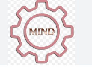 إطلاق تطبيق "MIND" لتسهيل شكاوى المستثمرين الصناعيين