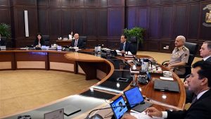 الحكومة تدعم التعاون التنموي مع الدول الإفريقية
