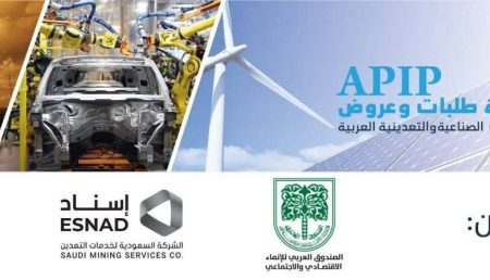 مصر تربط منصاتها الصناعية لتعزيز الشراكات العربية