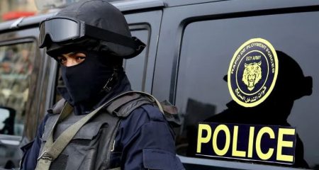 الشرطة المصرية