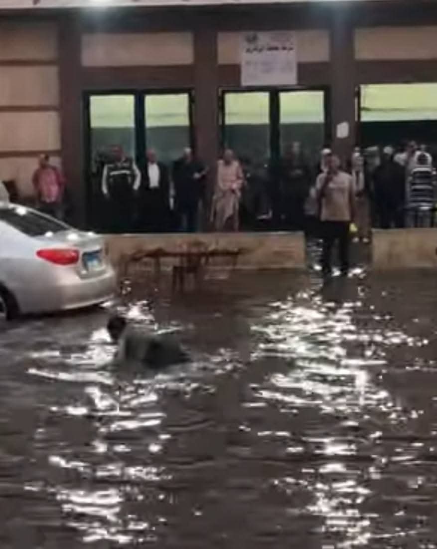 إيه اللي بيحصل في الشرقية..هطول أمطار غزيرة في يوليو رغم الطقس الحار