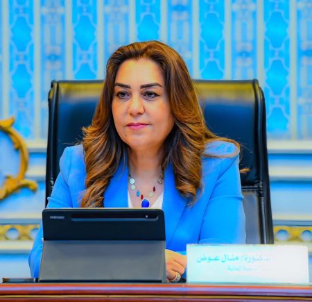 منال عوض: نسعي لتحسين جودة حياة المواطنين وتقديم خدمات أفضل وتوفير فرص عمل