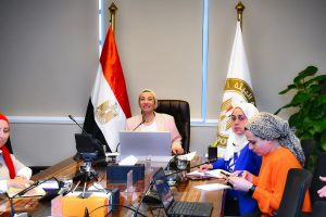 وزيرة البيئة تناقش مع وزير البيئة والمناخ النرويجي آخر مستجدات التفاوض للوصول لمعاهدة دولية للحد من التلوث البلاستيكي