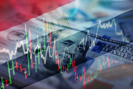مصر تتفق مع OECD على خريطة طريق لدعم الإصلاح الاقتصادي