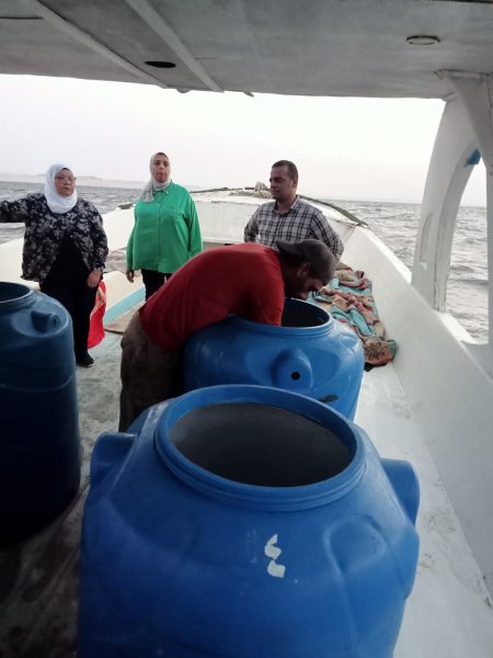 جهاز حماية وتنمية البحيرات يطلق الدفعة الثالثة من يرقات الجمبري في بحيرة قارون بالفيوم