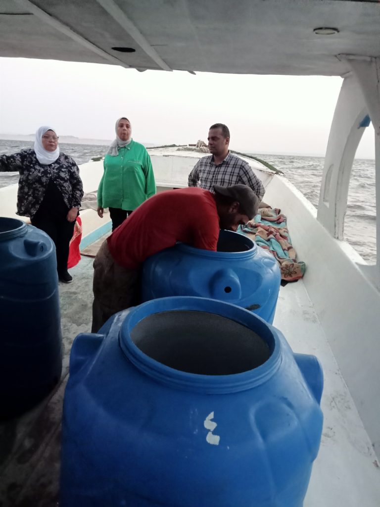 جهاز حماية وتنمية البحيرات يطلق الدفعة الثالثة من يرقات الجمبري في بحيرة قارون بالفيوم