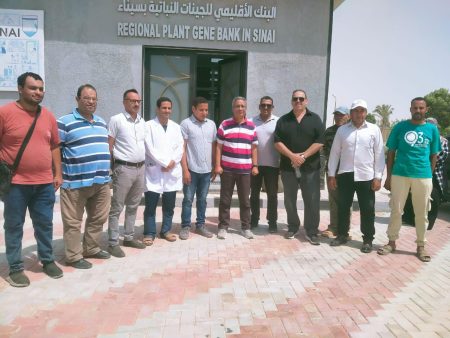 "بحوث الصحراء" يواصل جهود وتجارب توفير الأعلاف بديلة بالاعتماد على المخلفات الزراعية والنباتات الملحية بجنوب سيناء