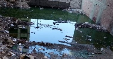 قرية ابن العاص بالشرقية.. أزمة صرف صحي ممتدة رغم تبرعات الأهالي | بقلم: عماد أبو جبل