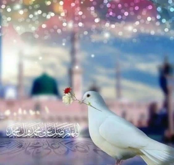 في ذكرى مولد النبي.. أجمل 10 رسائل وصور تهنئة بالمولد النبوي الشريف للأهل والأصدقاء