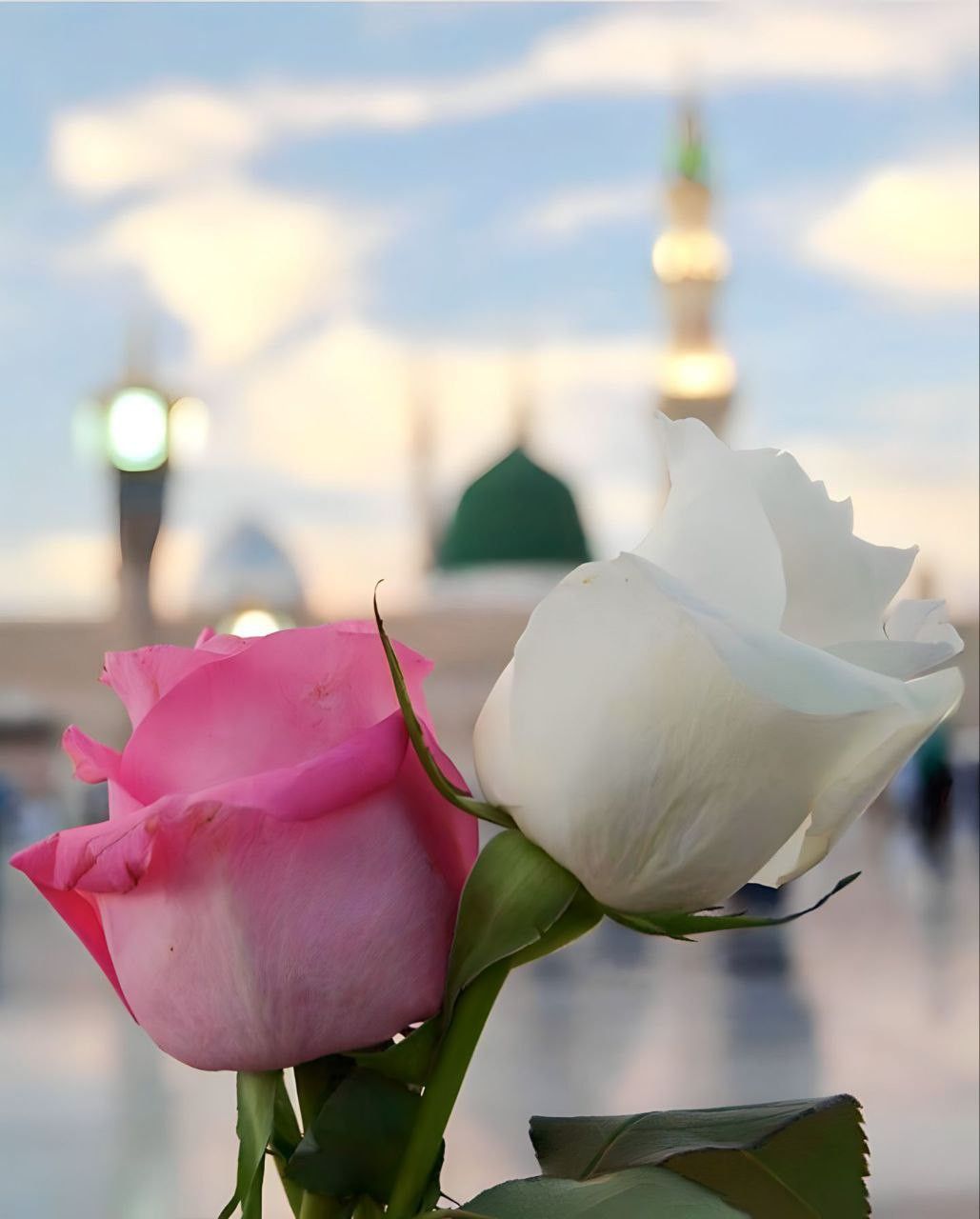 في ذكرى مولد النبي.. أجمل 10 رسائل وصور تهنئة بالمولد النبوي الشريف للأهل والأصدقاء